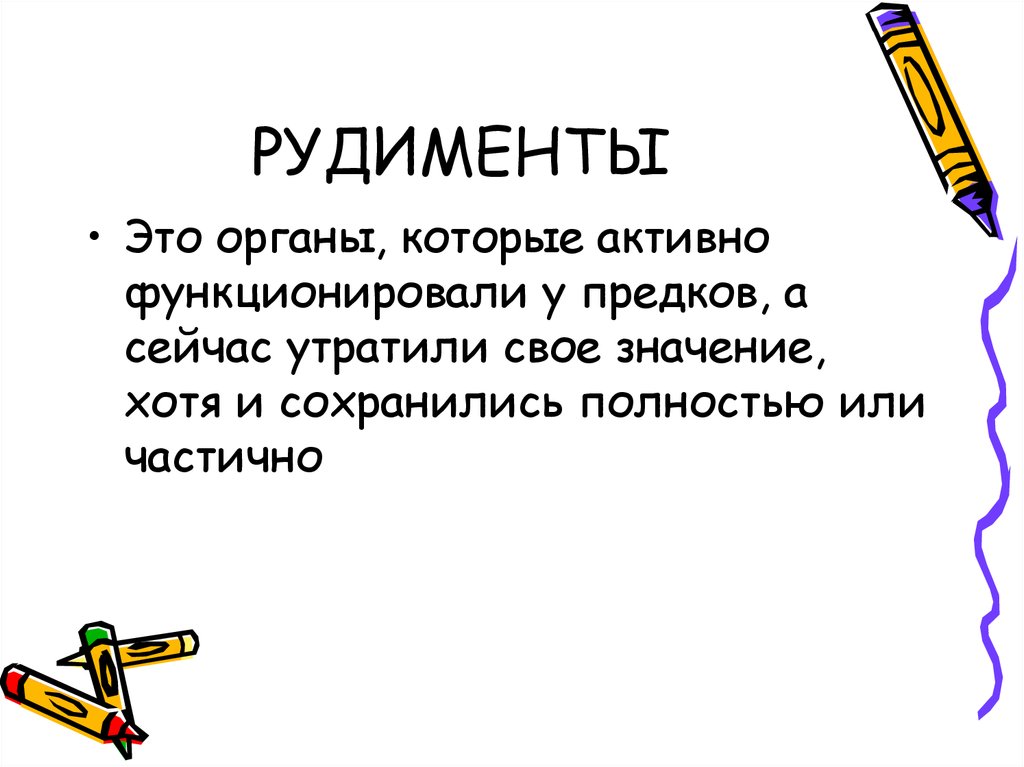 Хотя значение. Рудименты-это органы которые сохранились... Рудимент значение этого слова. Органы активно функционировавшие у предков но утратившие значение.