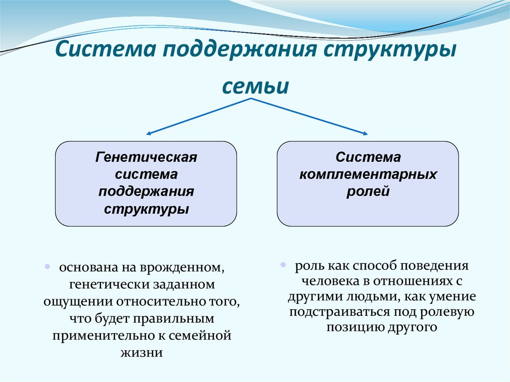 Структура семьи картинки