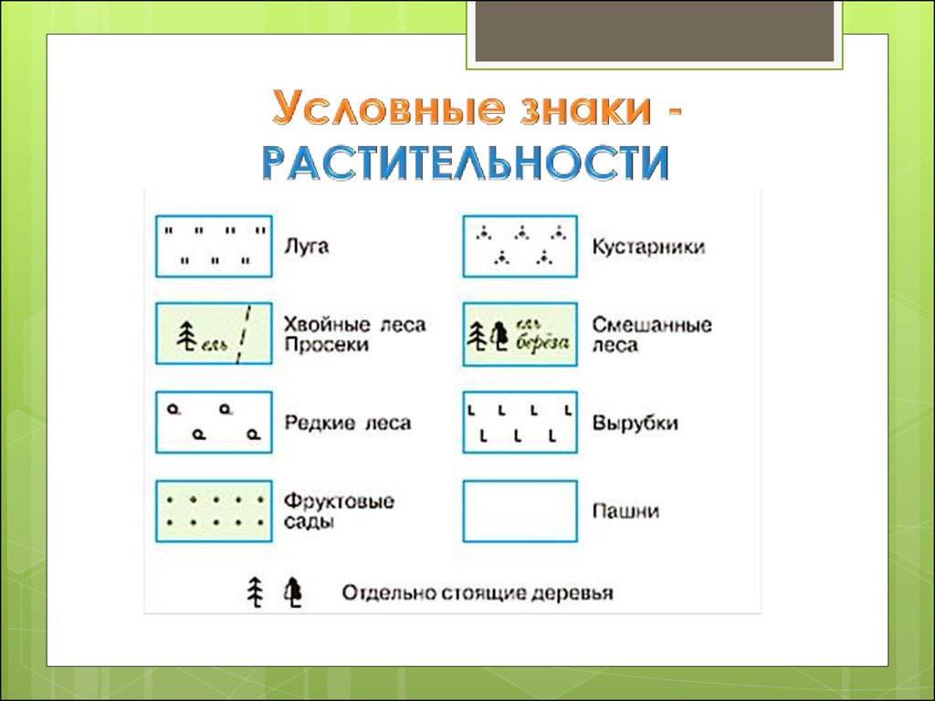 Условные знаки объектов. Топографические условные знаки растительность. Условные обозначения растительности на топографических картах. Топографические знаки растительный Покров. Условные обозначения растительный Покров.