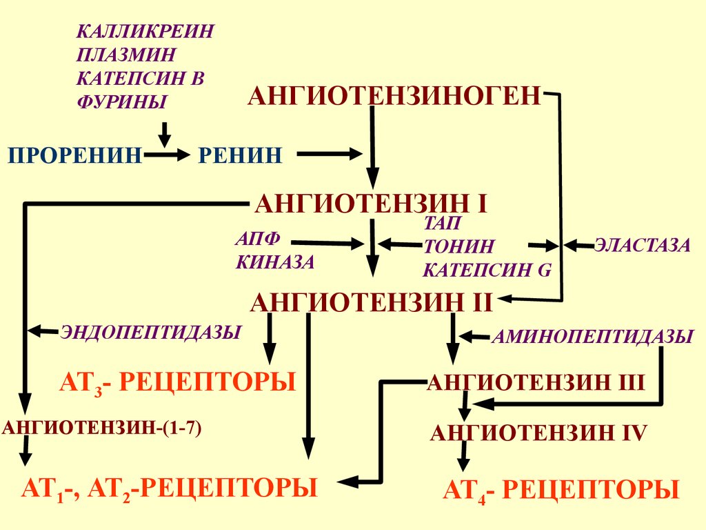 Характер фурины