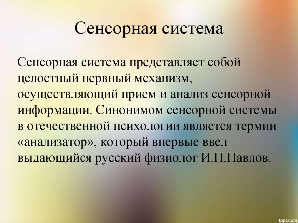 Сенсорная система презентация