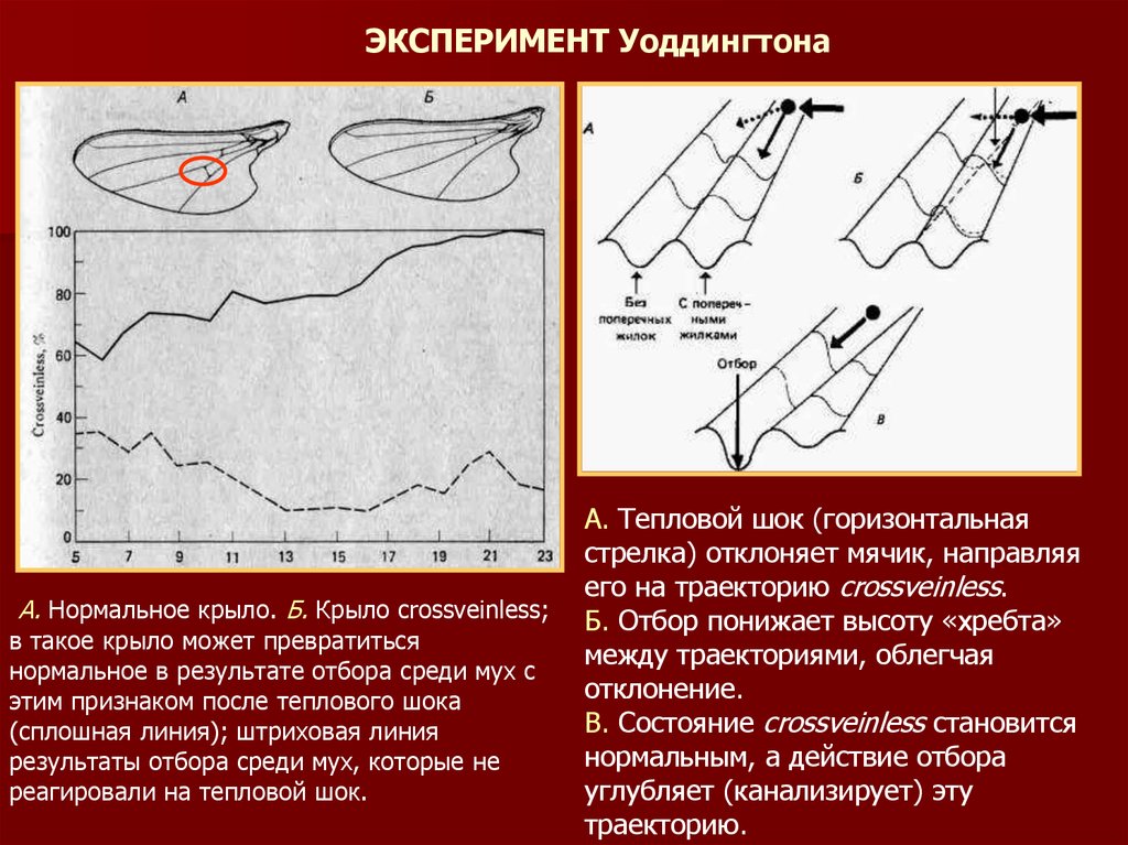 Линия состояния