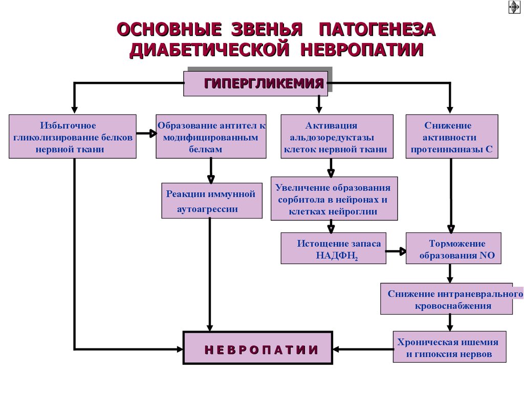 Основное звено патогенеза. Патогенез гипергликемии патофизиология. Механизм развития диабетической нефропатии. Диабетическая нейропатия патогенез. Диабетическая полинейропатия патогенез.