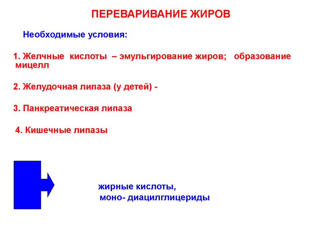 Переваривание жиров. Условия переваривания пищевых жиров. При переваривании жиров образуются:. Переваривание жиров у детей. Переваривание жиров своими словами.