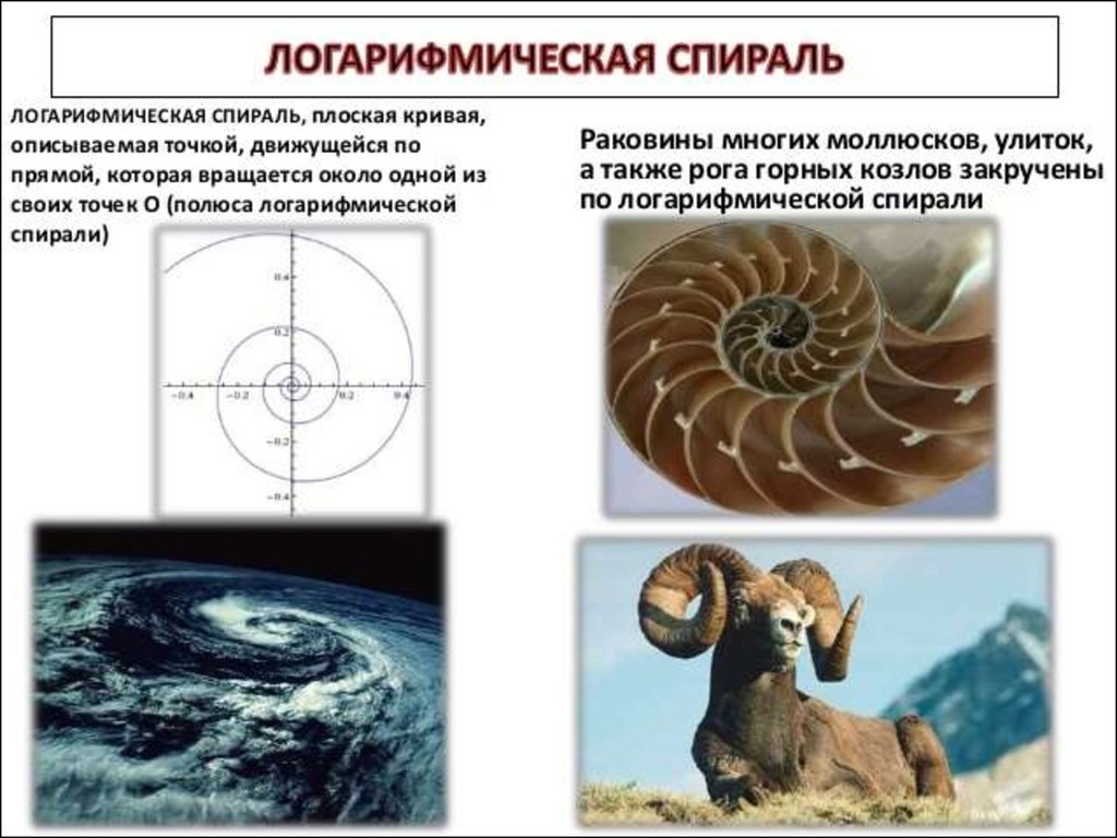 Применение логарифмической функции презентация