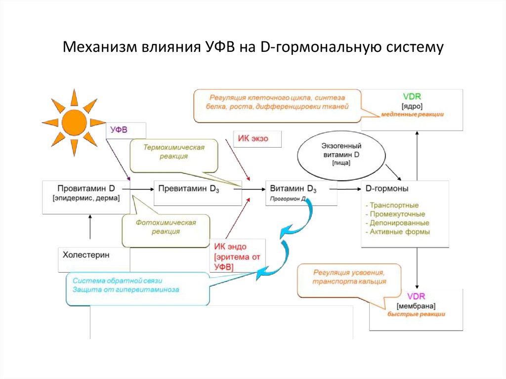 Механизм действия труда. ДДАХ механизм действия. Уровень функциональных возможностей. КДБА механизм действия. Механизмы влияния.