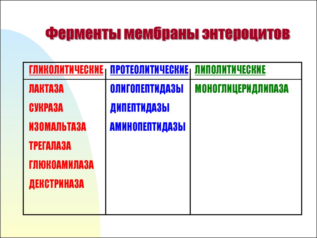 Мембрана ферменты. Мембранные ферменты. Ферменты и мембранам клетки. Ферменты энтероцитов. Мембрана энтероцита ферменты.