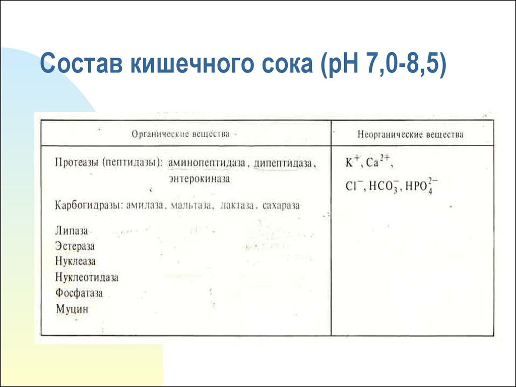 Кишечный сок. Состав кишечного сока PH. Состав и функции кишечного сока. Состав и функции кишечного сока таблица. Состав кишечного сока таблица ферменты.