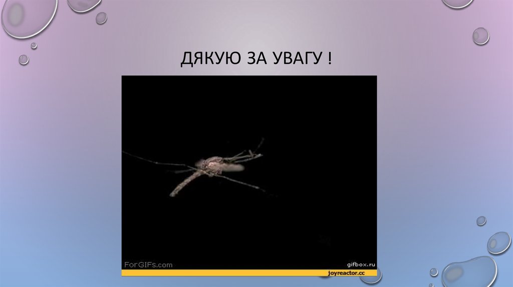 Дякую за увагу !