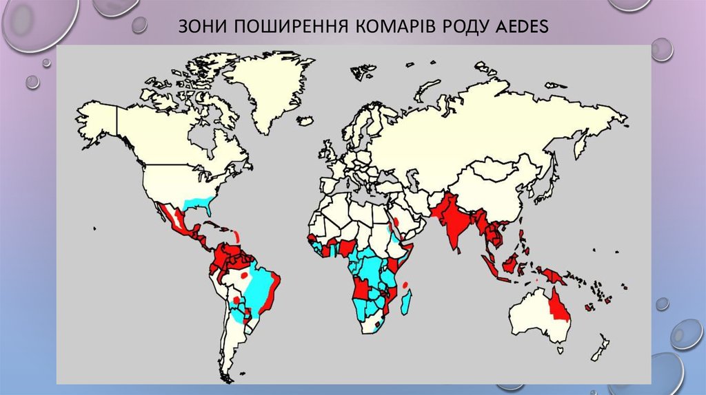 Зони поширення комарів роду aedes