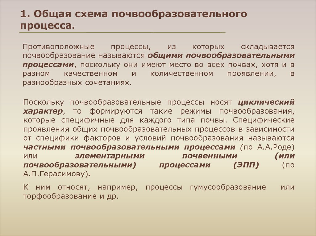 Общая схема почвообразовательного процесса факторы почвообразования