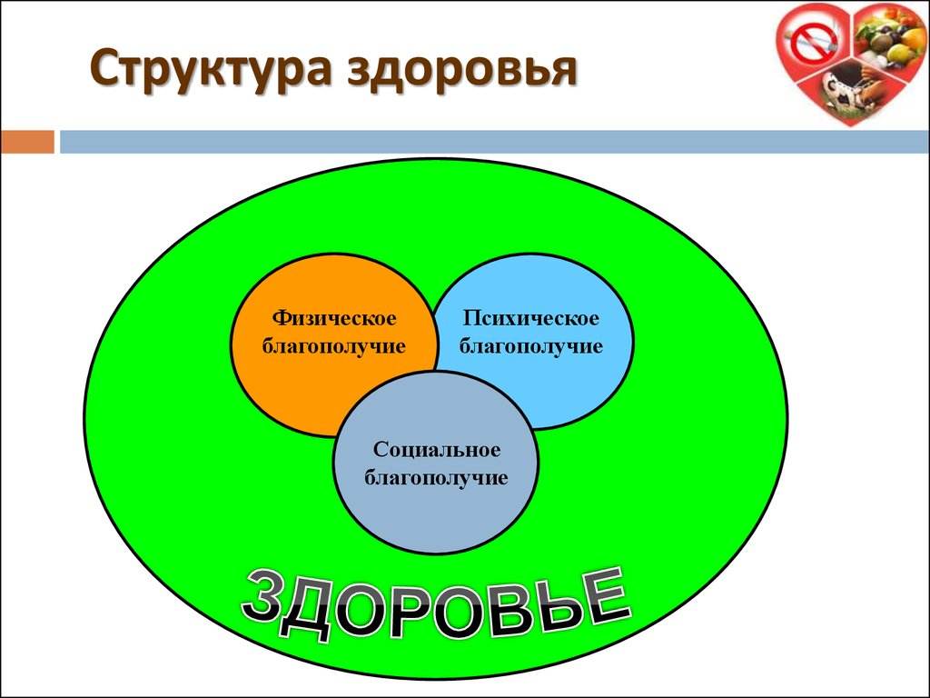 Картинки по запросу виды здоровья картинки