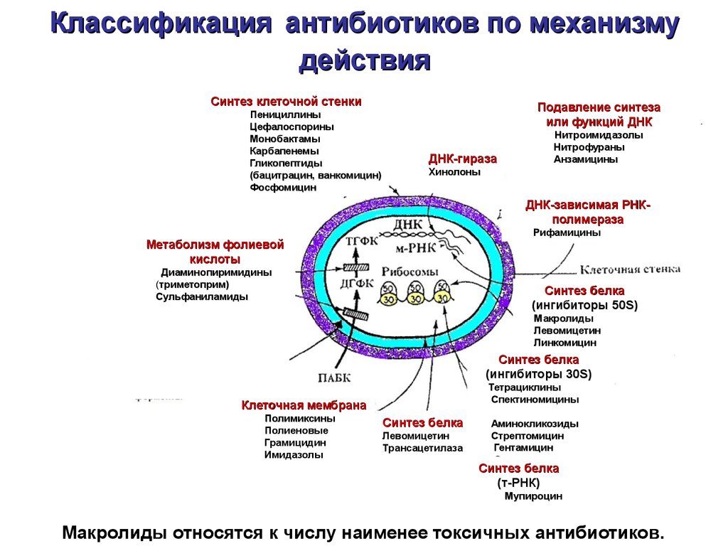 Производство антибиотиков презентация