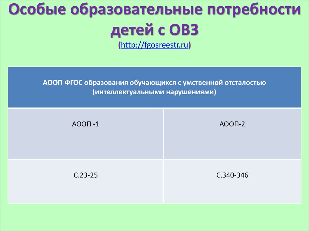 Учет особых образовательных потребностей