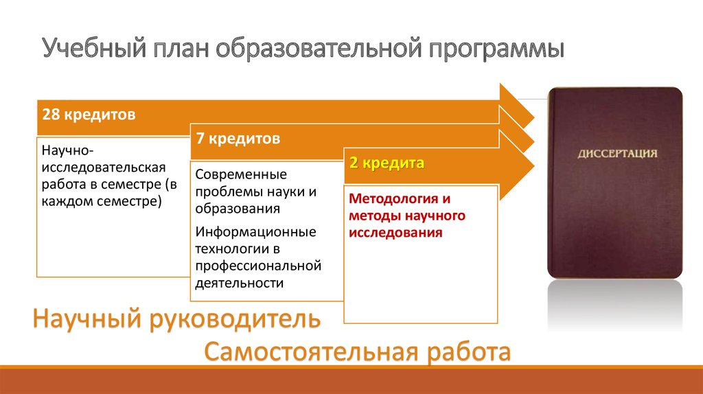 План образование. Учебный план диссертации. Кредиты учебный план.