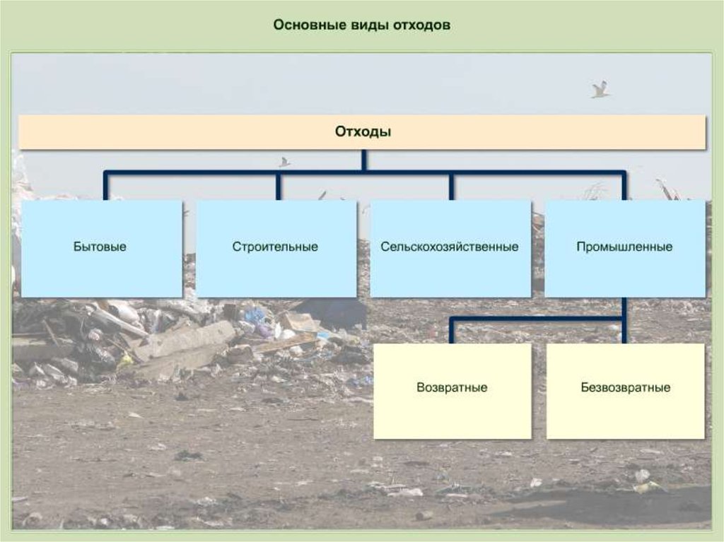 3 взаимосвязь общества и природы. Природные факторы и общество. Схема виды сельскохозяйственных отходов. Деятельность современного человека как экологический фактор. Факторы взаимодействия человека с природой.