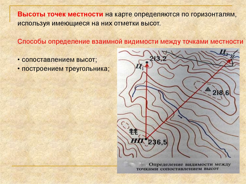 Абсолютная высота горизонтали. Отметка высоты на местности. Высота точки между горизонталями. Определение высот точек на карте. Отметки высот на топографической карте.