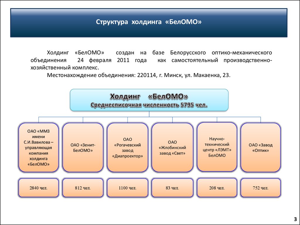 Структура холдинговых компаний