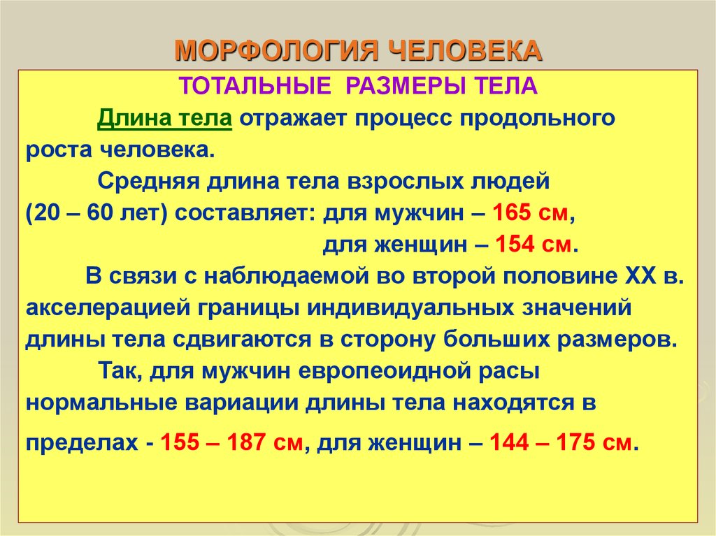 Что значит мягкий человек. Средняя длина тела человека. Тотальный размер у человека это. Тотальные и парциальные Размеры тела. Классификация роста человека.