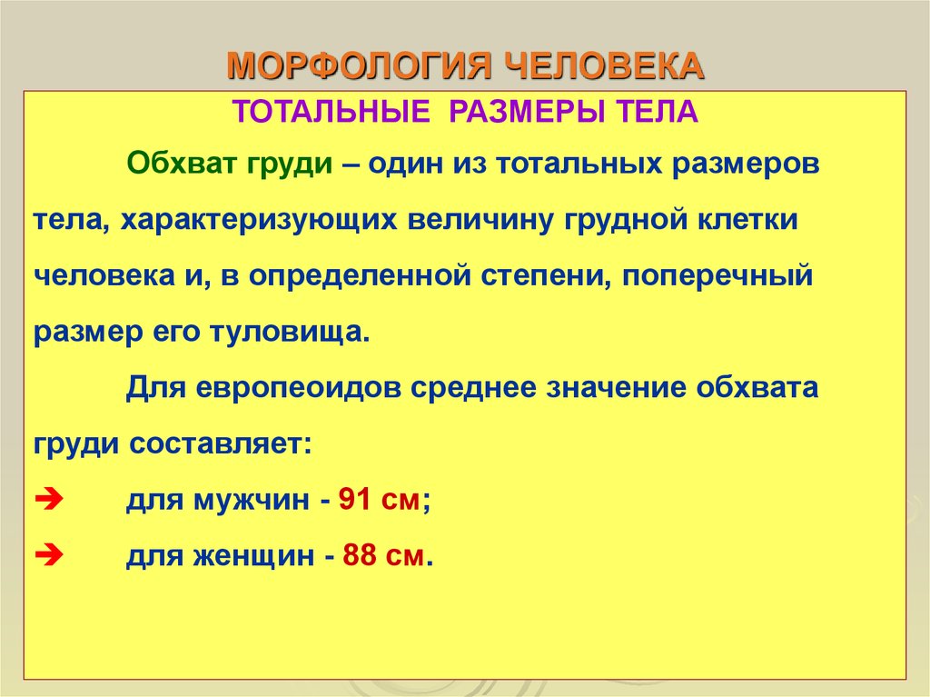 Что значит мягкий человек. Морфология человека. Тотальные и парциальные Размеры тела. Морфологические показатели человека. Тотальные Размеры тела.