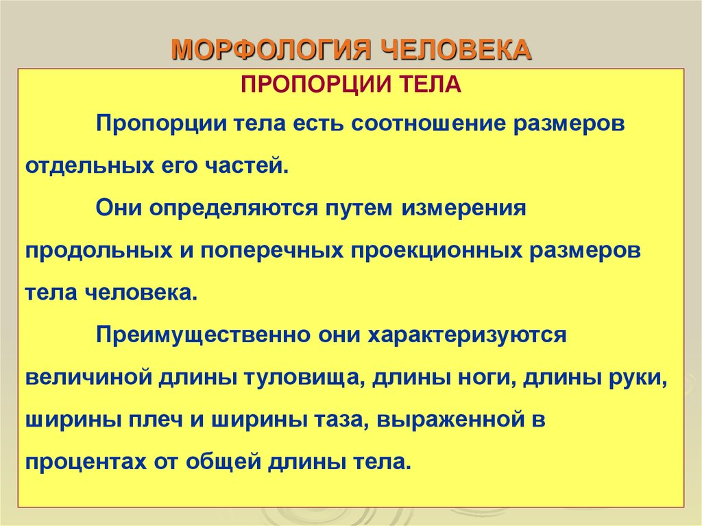 Они определяются. Морфология человека. Морфологические показатели человека. Тотальные и парциальные Размеры тела. Тотальные Размеры тела.