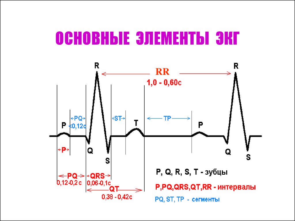 Экг рисунок с обозначениями