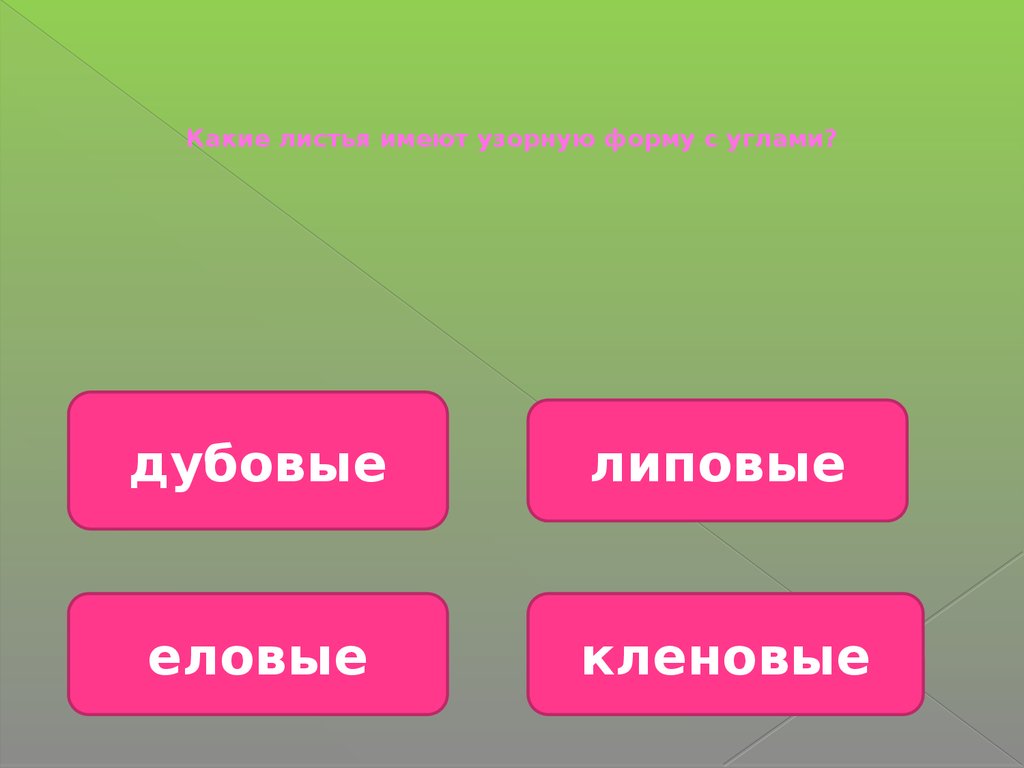 Лесная викторина 2-3 класс. Вопросы об окружающей природе леса -  презентация онлайн