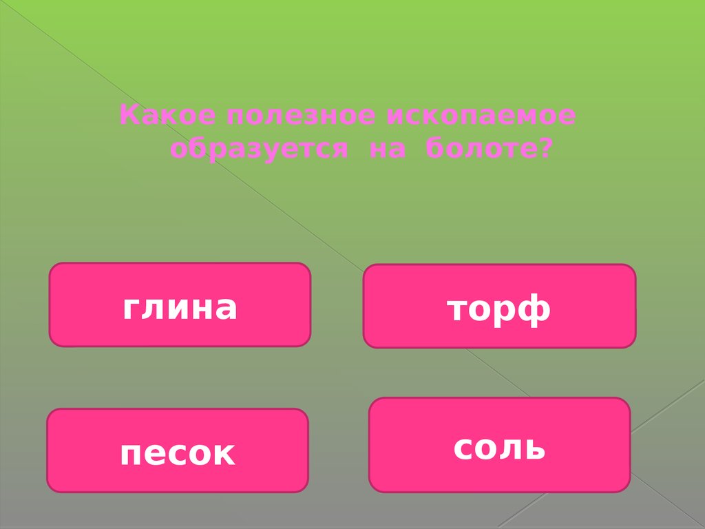 Лесная викторина 2-3 класс. Вопросы об окружающей природе леса -  презентация онлайн