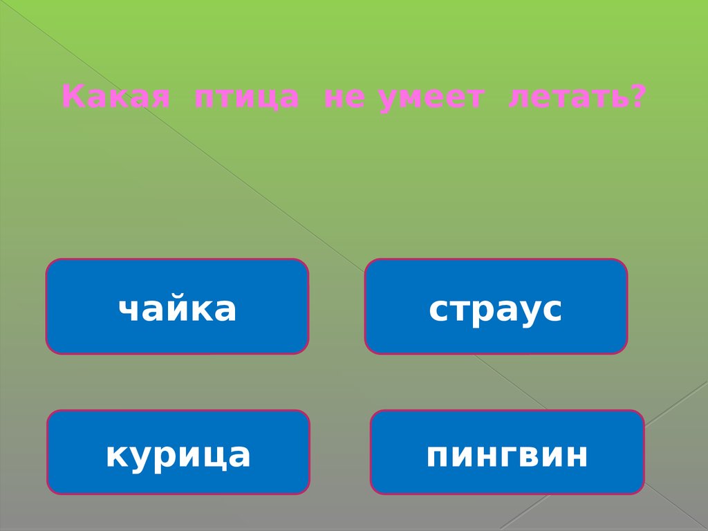 Лесная викторина 2-3 класс. Вопросы об окружающей природе леса -  презентация онлайн