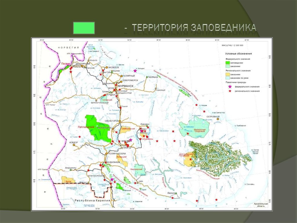 Лапландский заповедник презентация