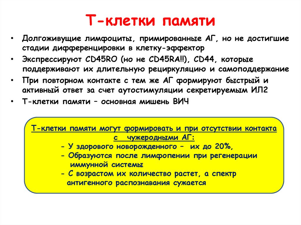 Клетки памяти не образуются остаются клетки памяти. Т клетки памяти иммунология. Т клетки памяти функция. Т клетки иммунной памяти функция. Характеристика т-клеток памяти.