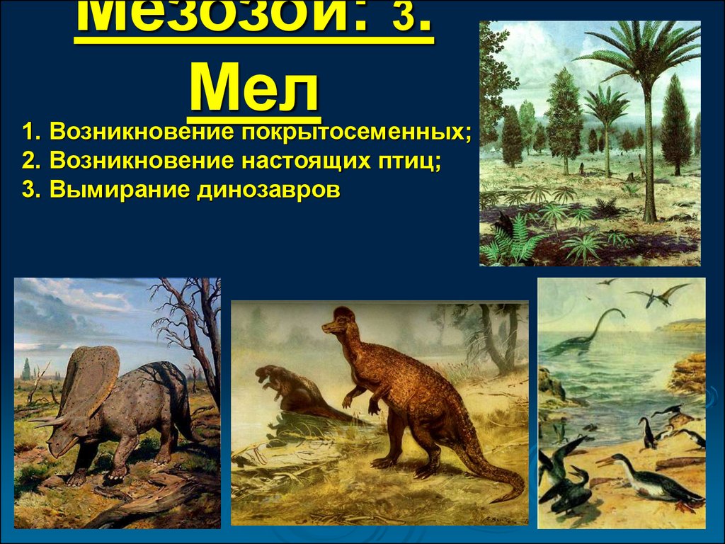 Мезозойская эра расцвет. Меловой период мезозойской эры растения. Мезозойская Эра меловой период животные. Мезозойская Эра вымирание.