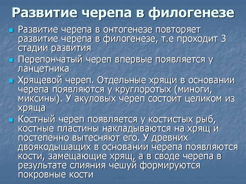 Формирование в онтогенезе. Основные этапы развития черепа. Филогенез черепа. Развитие черепа в филогенезе. Развитие черепа в фило и онтогенезе.