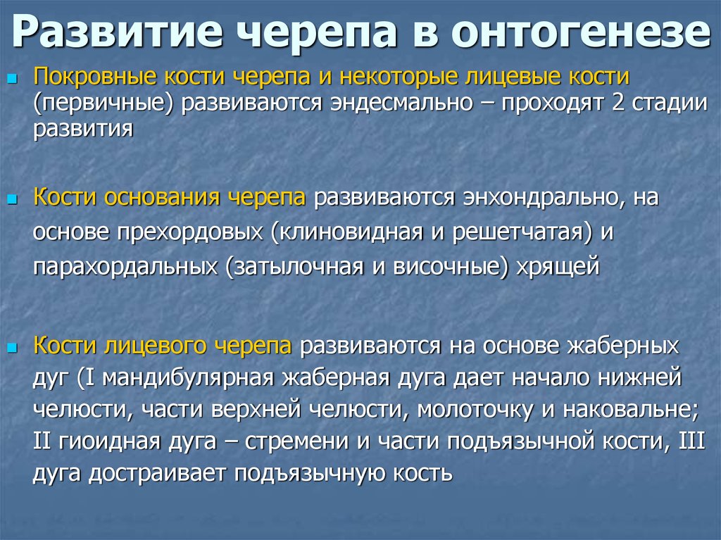 Формирование костей. Развитие черепа. Стадии развития черепа в онтогенезе. Стадии развития костей черепа.