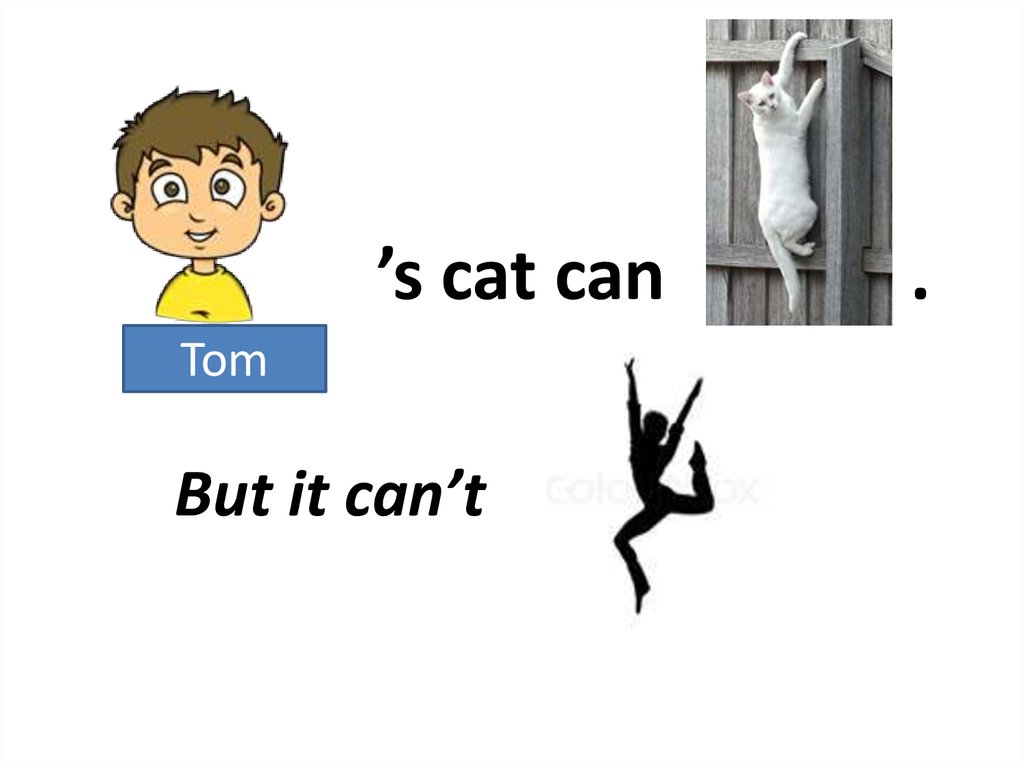 How can tom. How can tom