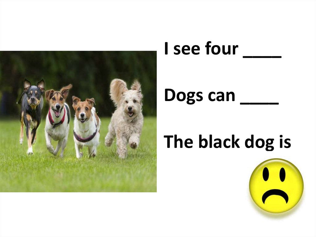I see four ____ Dogs can ____ The black dog is