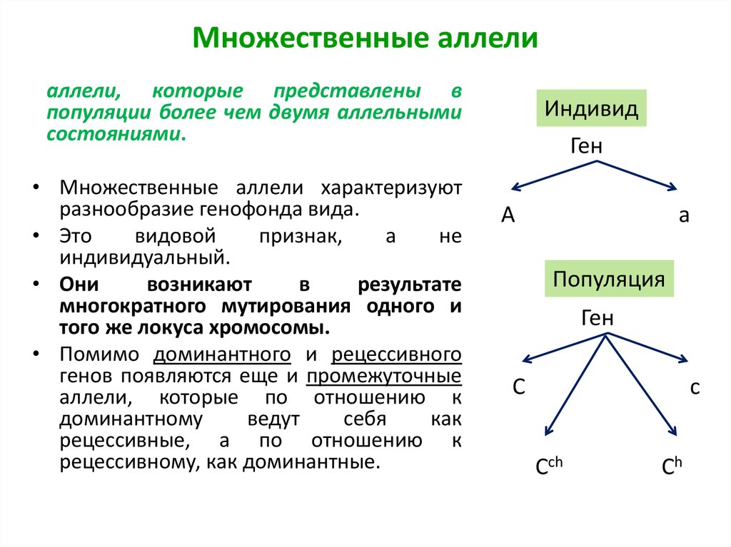 Появление новых аллелей генов