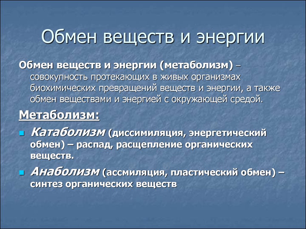 Строительный обмен веществ. Обмен веществ и энергии. Обмен веществ ppt.