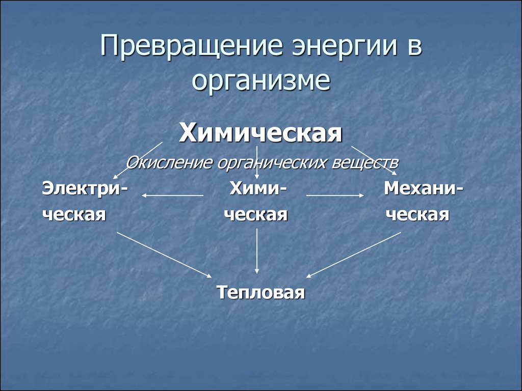 Превращение энергии в обмене