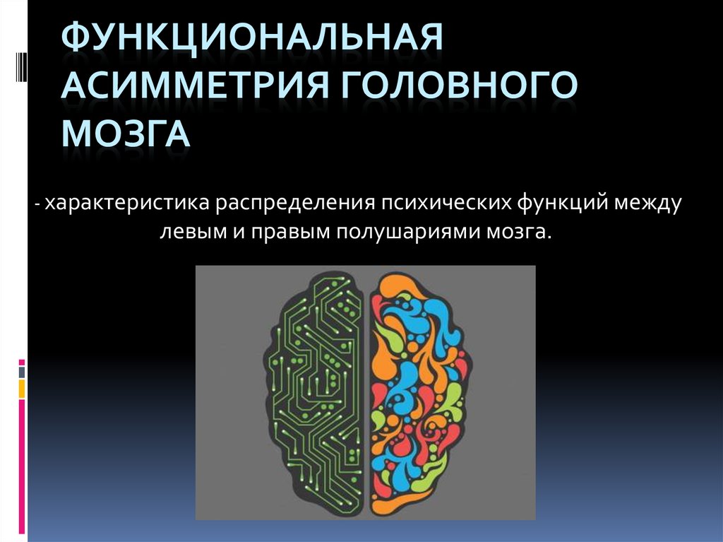 Закономерности работы головного мозга презентация