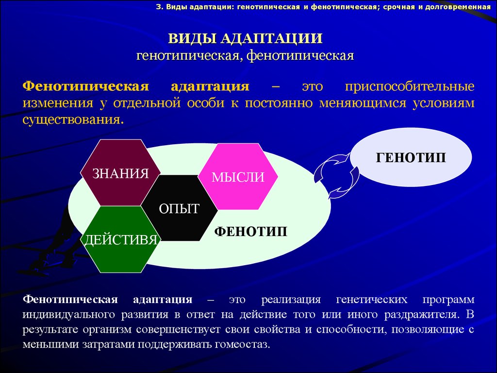 Индивидуальная адаптация. Виды фенотипической адаптации. Генотипическая и фенотипическая адаптация. Генотипическая адаптация. Генотипическая адаптация примеры.