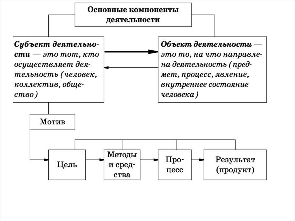 Структура деятельности обществознание схема