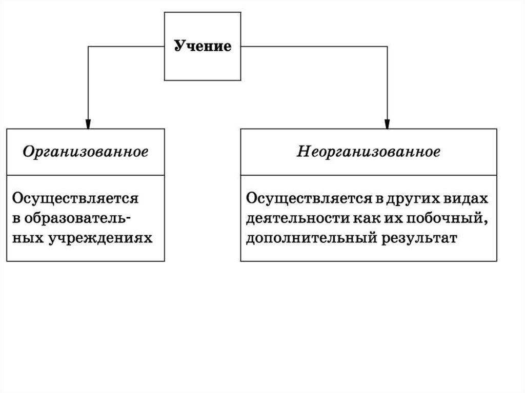 Примеры учения. Организованное и неорганизованное учение. Учение как вид деятельности. Форма деятельности учение. Вид деятельности учение примеры.