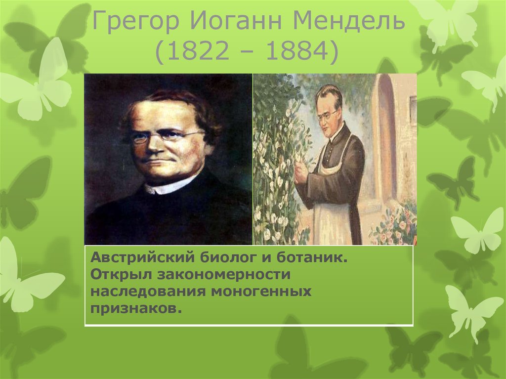 Грегор мендель. Грегор Иоганн Мендель. Грегор Иоганн Мендель (1822-1884 гг.). Грегор Иоганн Мендель биологи. ￼ботаник Грегор Мендель.