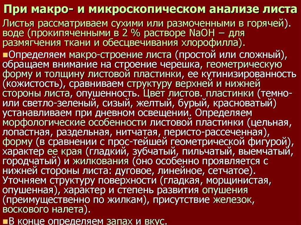 Анализ листьев. Микроскопический анализ ЛРС. Микроскопия лекарственного растительного сырья. Макроскопический и микроскопический анализ ЛРС. Цель микроскопического анализа ЛРС.