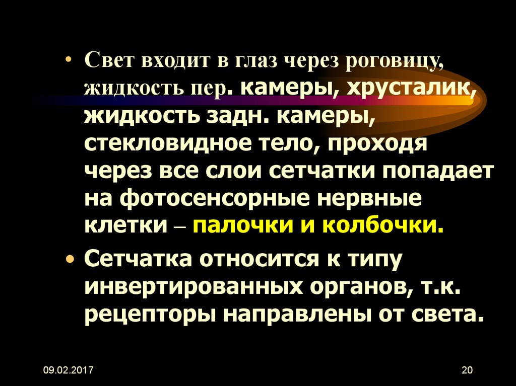 Свету входят