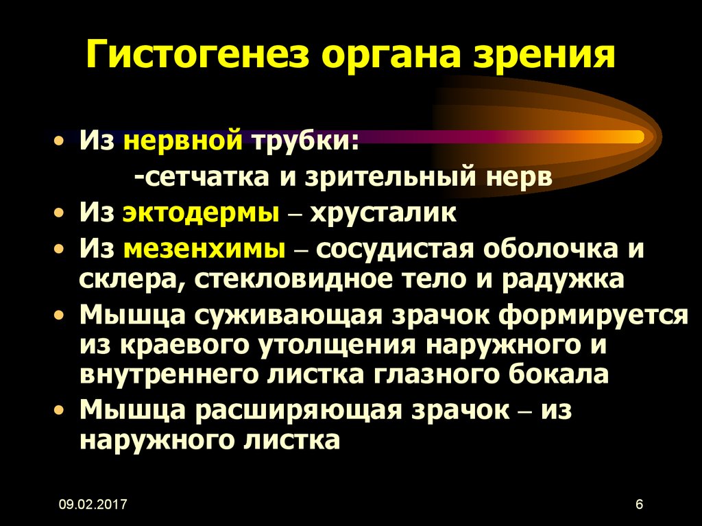 Гистогенез