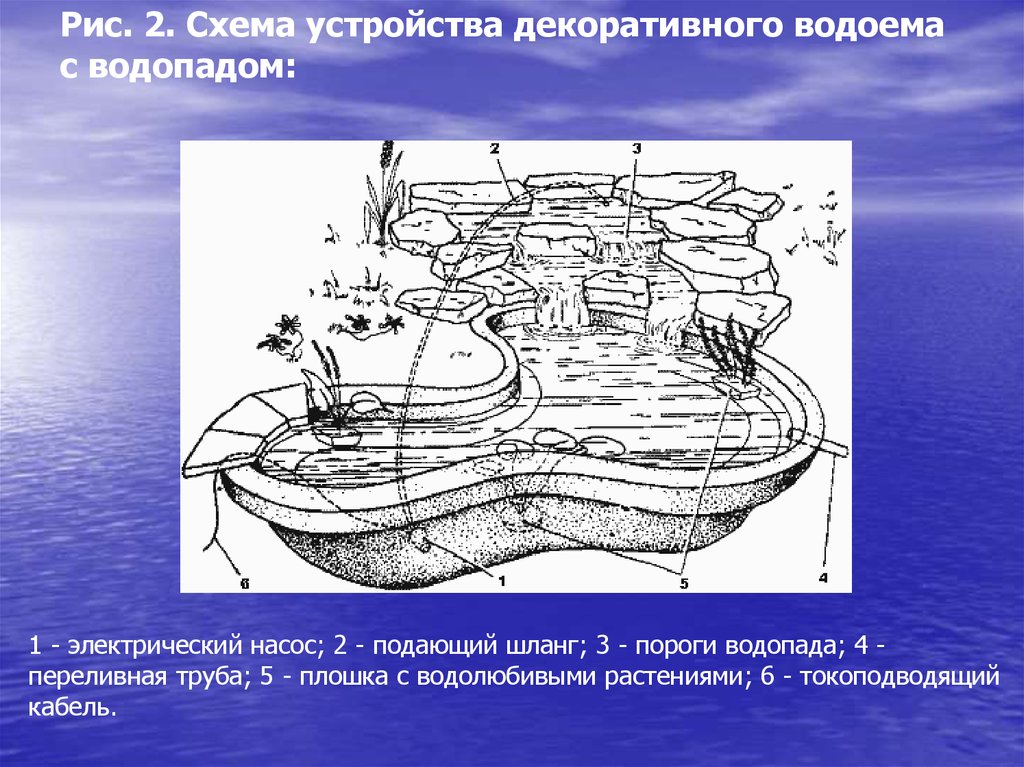 Устройство водоема схема