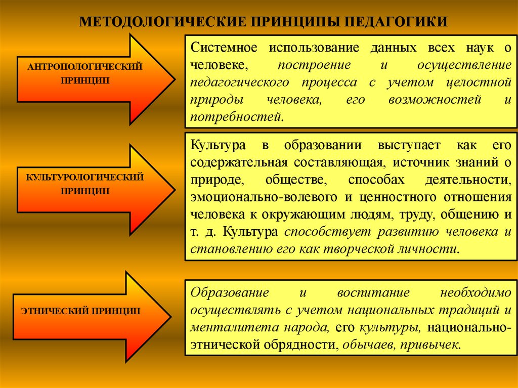 Сравнительная педагогика исследует