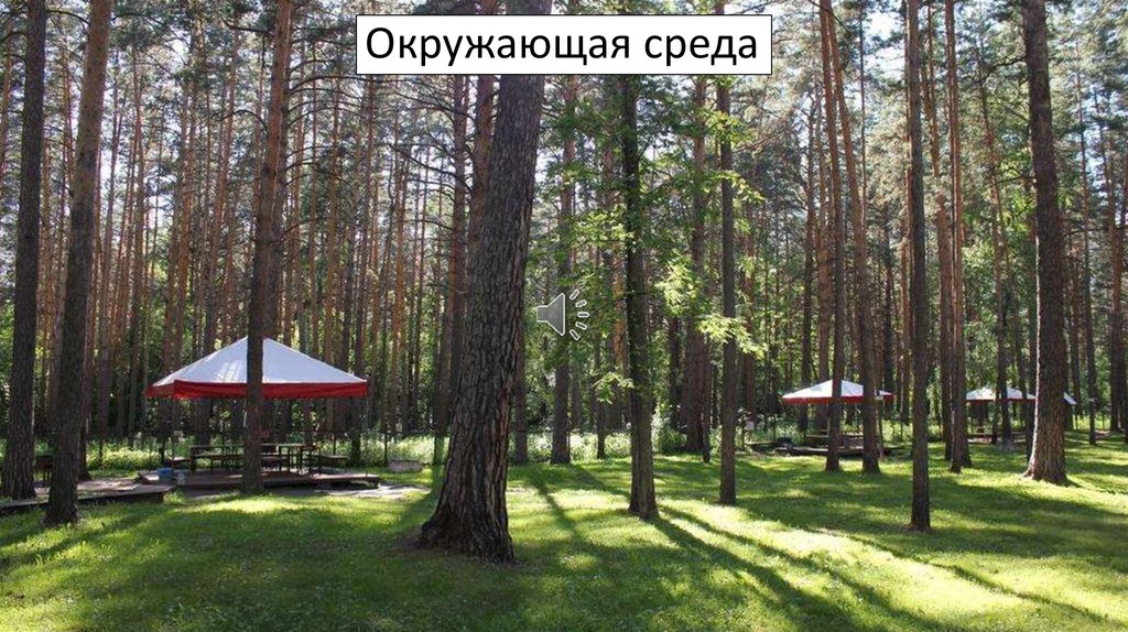 Окружающая среда